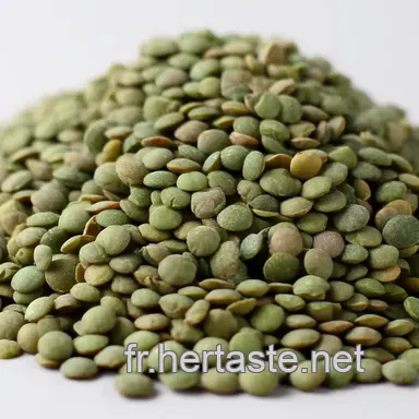 Cuire des Lentilles Vertes Facile: Ma Recette Puy! 🌿